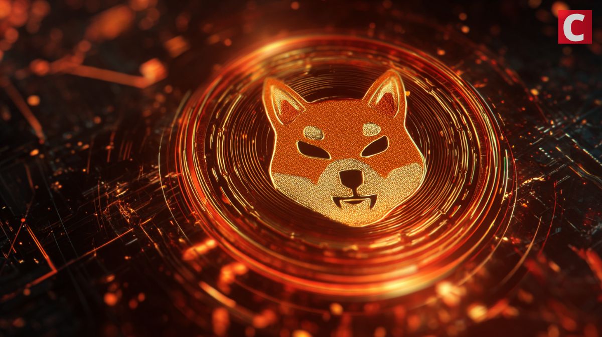 Shiba Inuの救助モード：火傷率の急増と先の道路