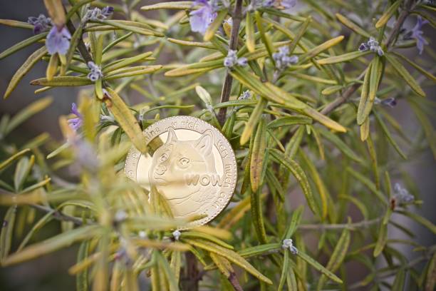 dogecoinから5ドル？アナリストは、DogeがETFの誇大広告で急上昇しているのを見ています！