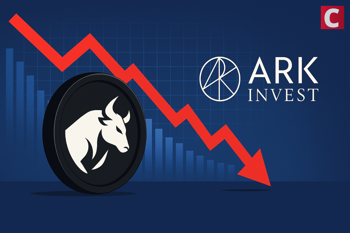 ARK Invest在价格下降的情况下导航看涨股票：什么是游戏？