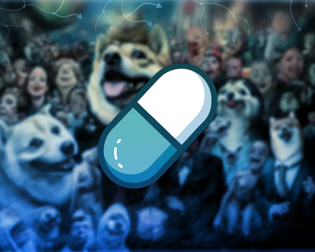 模因令牌，泵。FUN和交易量：有什么交易？