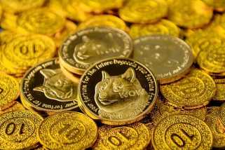 Dogecoin\s Wild Ride: Wallets Accumulate as Price Hints at a Surge?