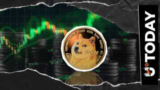 Dogecoin Adoption Milestone: From Buenos Aires to Millionaire Wallets