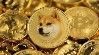 Dogecoin\s Wild Ride: ETF Buzz and a Price Surge, To the Moon?