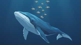 Dogecoin: Whale Activity Dries Up, Exit Concerns Mount?