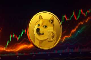 Dogecoin Whales and Transactions: A New York Minute on Market Moves
