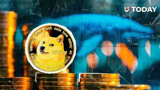 Dogecoin의 조용한 고래: Meme 코인의 의미는 무엇입니까?