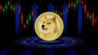 Dogecoin의 난폭한 행보: 가격 하락, 회복 희망, 그리고 다음은 무엇입니까?