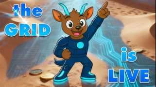 Dogecoin, Price Swings, and the Noomez Token: What\s the Buzz?