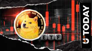 Dogecoin ETF Inflows: A Whimper, Not a Roar, and the Price Reaction