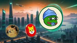 Decoding the Crypto Craze: Is \Provide Text for Analysis\ the Next Big Thing?