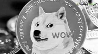 Dogecoin: Navigating the Meme Coin Hype and Investment Risks