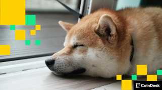 DOGE, Blue Chips, and Quits: Navigating Crypto\s Wild Ride