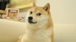 Dogecoin ETF Buzz: 21Shares, FalconX, and the Impending DOGE ETF Launch