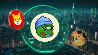 Dogecoin, Shiba Inu, and the Meme Coin Mania: What\s Next?