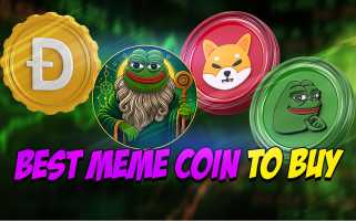 SHIB, DOGE, and the Rise of Little Pepe: The Next Meme Coin Mania?