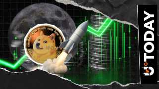 Dogecoin, Liquidation, Rockets: What\s Fueling the Frenzy?