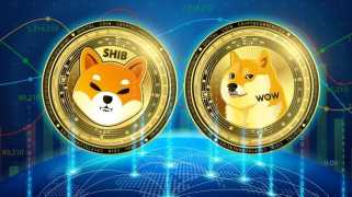 Decoding Crypto Trends: Navigating Dogecoin, Shiba Inu, and the Rise of Digitap