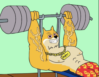 Maxi Doge Presales: The Meme Coin Mania Continues?