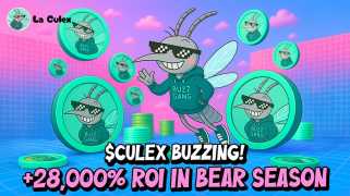 Meme Coin Presales: Finding ROI Potential in a Sea of Hype