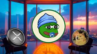 Ripple, Dogecoin, and the Crypto Landscape: What\s the Hype?