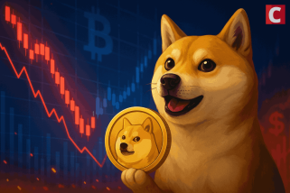 Dogecoin\s Wild Ride: Crash Buying or Bust?
