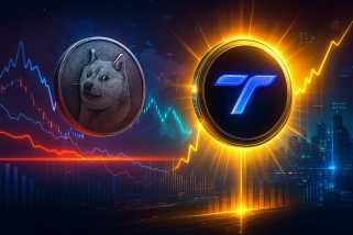 Crypto, DOGE, and Altcoins: Navigating the Meme Coin Mania and Beyond