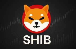 Shiba Inu\s Burn Rate Surge: Can It Compete with Emerging Altcoins?