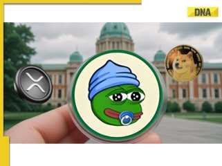 Ripple, Dogecoin, and Little Pepe: Decoding the Hype in 2025