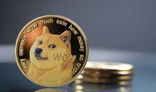 Dogecoin, MAXI, and Altcoin Contenders: Navigating the Meme Coin Mania