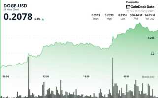 Dogecoin\s Defining Moments: Resistance, Support, and the Road Ahead