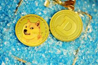 Dogecoin\s Market Cap Momentum: Ready to Unleash the Doge?