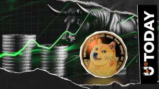 Dogecoin\s Wild Ride: Liquidation Twists and Bear Wipeouts, Oh My!