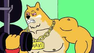 Dogecoin, Meme Coins, and Alternatives: What\s the Deal?