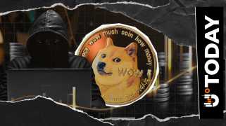 Dogecoin, Crypto, and Creator Celebration: Riding the Meme Wave