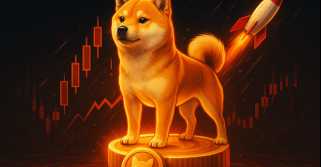 Dogecoin, Musk, and the Floki CEO: What\s the Hype?