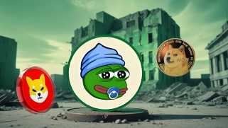 Meme Coins, Crypto Millionaires, and Shiba Inu: What\s Next?