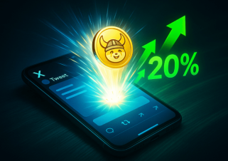 Floki, Elon Musk, and the Doge Pump: A New York Minute in Crypto