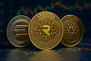 Remittix Blitz: How Remittix and ICOs are Shaking Up the Crypto World While DOGE Whales Take Note