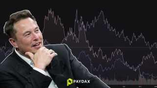 Elon Musk, Crypto, and Dogecoin: A NYC Perspective on the Latest Twists