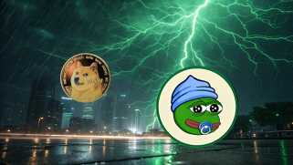 Dogecoin and the Meme Coin Mania: What\s Next in Crypto?