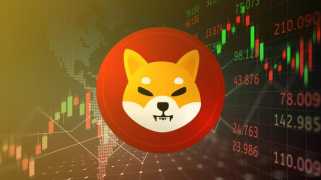 Decoding Crypto Trends: Analyzing SHIB, BNB, Musk\s Bitcoin Stance & More!