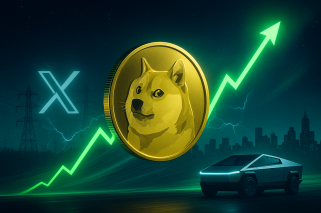 Elon Musk, Dogecoin, and the Rally That Wasn\t: What\s Next?