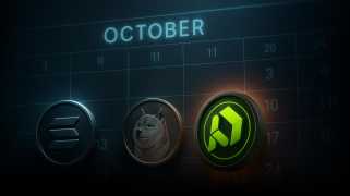 Solana, Dogecoin, and Paydax: Decoding the Crypto Hype