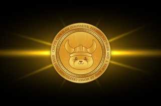 Floki Inu、Dogecoin、ETF 効果: ミームコインの世界で何が揺れているのか?