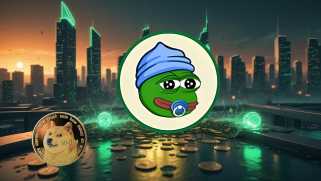 Dogecoin、価格予測、およびLittle Pepe：誇大広告は何ですか？