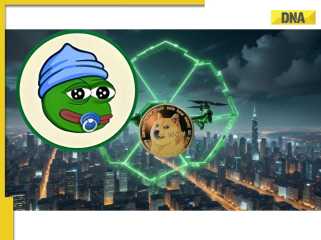 DogEcoin, Meme -Münzen und 2025 Preisvorhersagen: zum Mond oder der Büste?