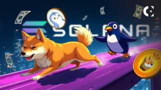 模因硬幣，檔案什b和比特幣突破：炒作是什麼？