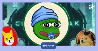 Shiba Inu, Pepe 및 The Meme Coin Mania : What is what and that what what whats