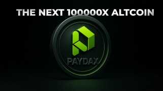 Dogecoin，Shiba Inu和接下來的100,000x山寨幣的追求