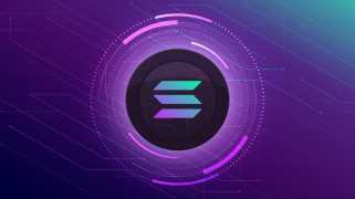 Sol, doge, gain de robinet: décoder le battage médiatique et l'espoir